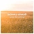 05 - Einaudi  The Dark Bank Of Clouds
