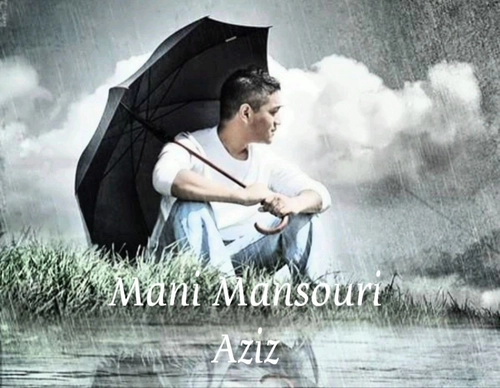 مانی منصوری