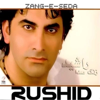 زنک صدا