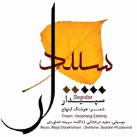 سپیدار
