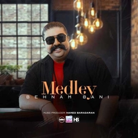 بهنام بانی مدلی