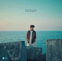 حمید رضا آیین طلبت