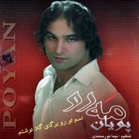 آلبوم پویان مه رو