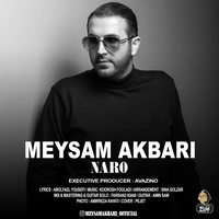 میثم اکبری نرو