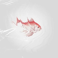 سنتور ماهی برای سال نو