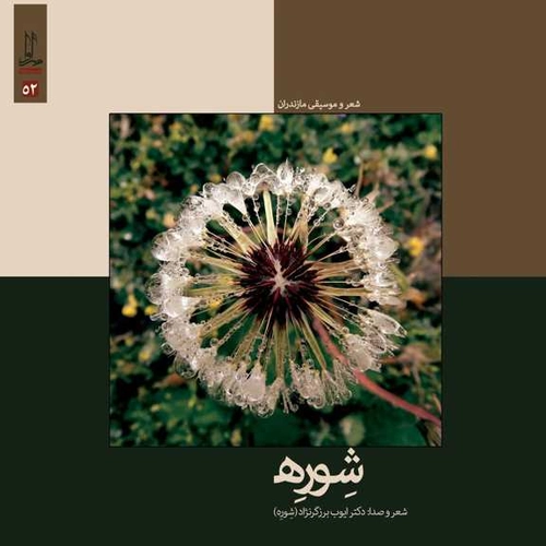 ایوب برزگرنژاد