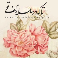 تا که در سلسله ی زلف تو