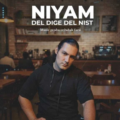 نیام دل دیگه دل نیست