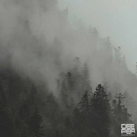 ریلتیم بازتاب