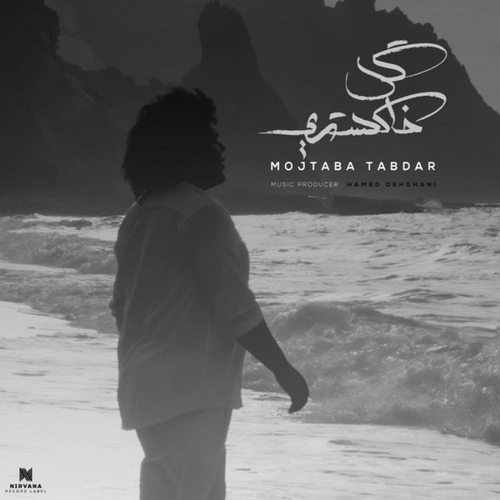 مجتبی تابدار