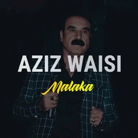 آلبوم عزیز ویسی مالاکا