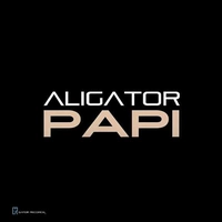 دیجی علی گیتور Papi