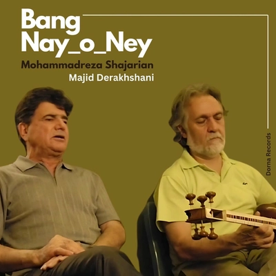 محمد رضا شجریان بانگ نای و نی