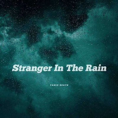 وحید بیتس غریبه ای در باران