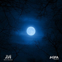 آلبوم دارمی Looking At The Moon