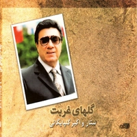 گلهای غربت 4 و 5