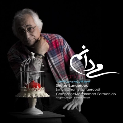 شمس لنگرودی می دانم