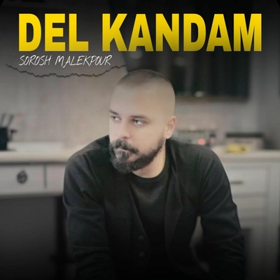 سروش ملک پور دل کندم