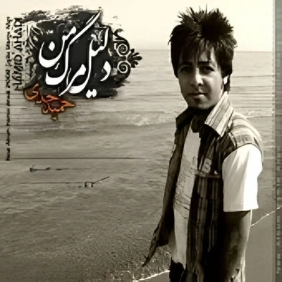 آلبوم حمید احدی دلیل مرگ من