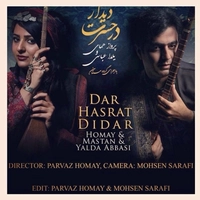 در حسرت دیدار