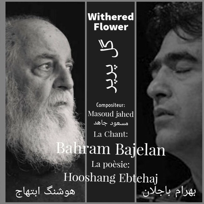 بهرام باجلان گل پرپر