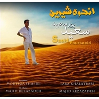 سعید پورسعید اندوه شیرین