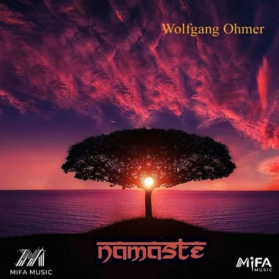 آلبوم ولفانگ اهمر Namaste ( هنگ درام )