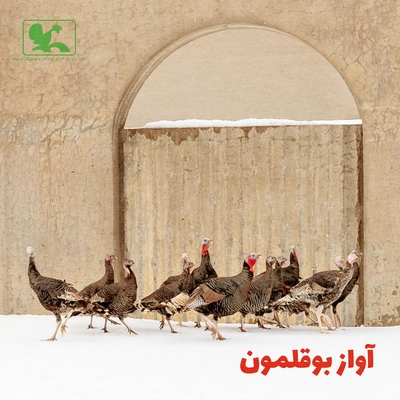 آلبوم امیر امیری آواز بوقلمون