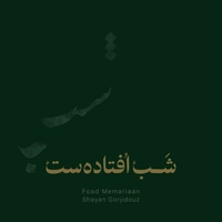 فواد معماریان شب افتاده ست