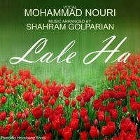 محمد نوری لاله ها