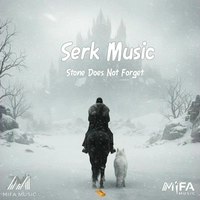 آلبوم سرک موزیک Stone Does Not Forget
