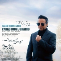 سعید شایسته پرستوی غریب