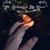 پروانه ای در دستانم ( بی کلام )