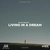 امیر نظری Living in a Dream