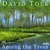 دیوید تولک Among the Trees