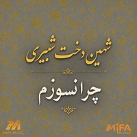 شهین دخت شبیری