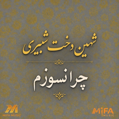 دکلمه شهین دخت شبیری چرا نسوزم