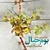 آلبوم صائب کاکاوند بوم خیال ( بداهه نوازی سه تار )