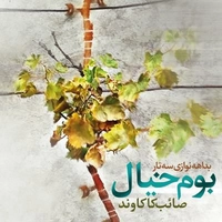 بوم خیال ( بداهه نوازی سه تار )