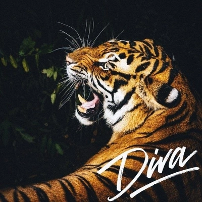 بوراک بولوت Diva