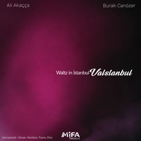آلبوم علی آکاچا Waltz in istanbul valstanbul