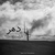 آلبوم عارف شاهد نواز دهر