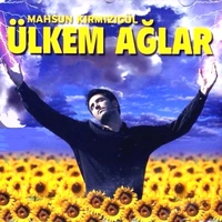 Ulkem Aglar