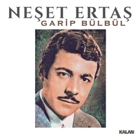 Garip Bulbul