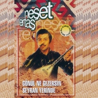 Gonu Ne Gezersin Seyran Yerinde